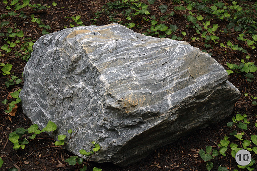 UPenn Geology Garden 10