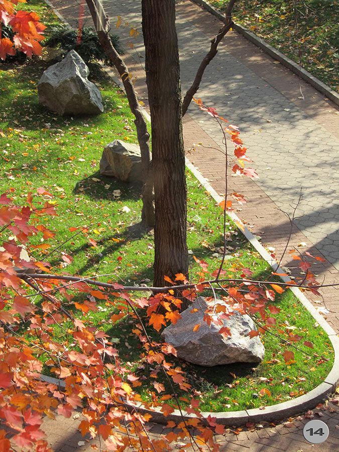 UPenn Geology Garden 14