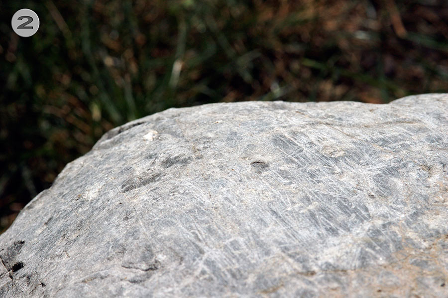 UPenn Geology Garden