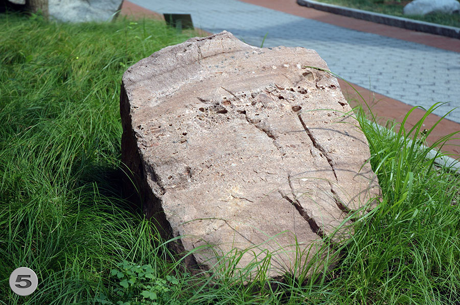 UPenn Geology Garden 5