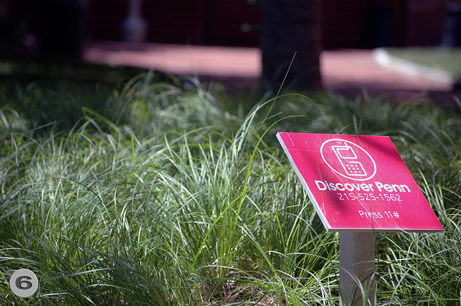 UPenn Geology Garden 6