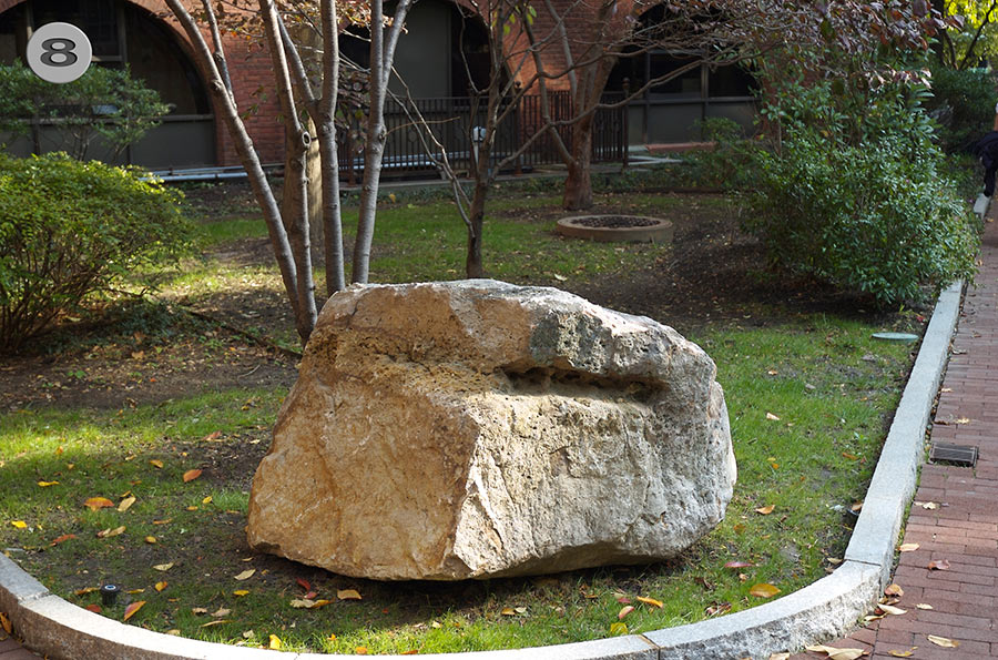 UPenn Geology Garden 8